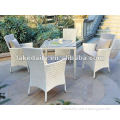 White rattan dinning table set